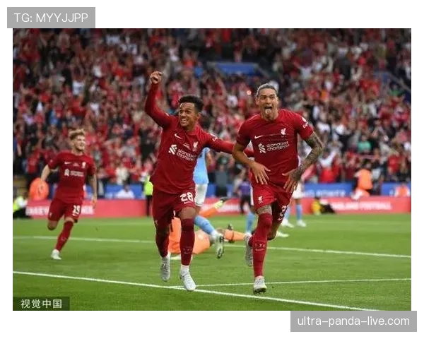 努涅斯的效率与战术适配性为何持续引发质疑