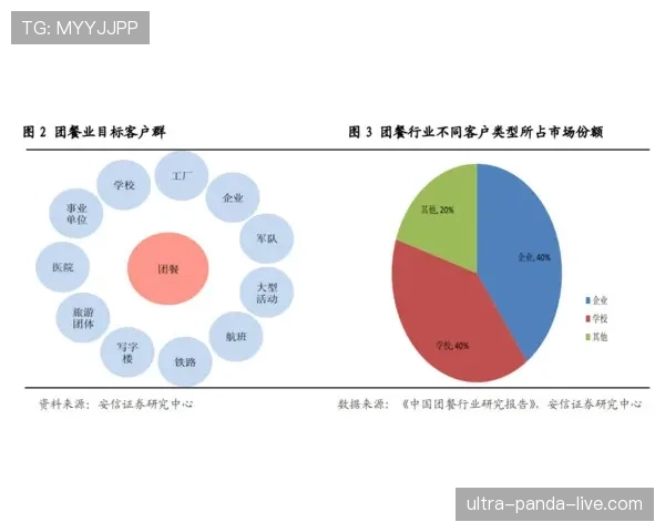 居莱尔职业生涯上限解析：天赋兑现的关键制约与成长路径