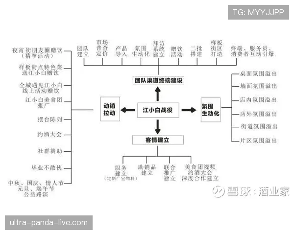 奥利塞职业规划争议：发展路径与定位合理性分析