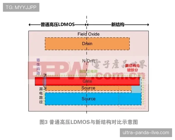 巴斯托尼:对比德利赫特——技术型与对抗型路径分化 巴斯托尼:对比德利赫特——技术型与对抗型路径分化